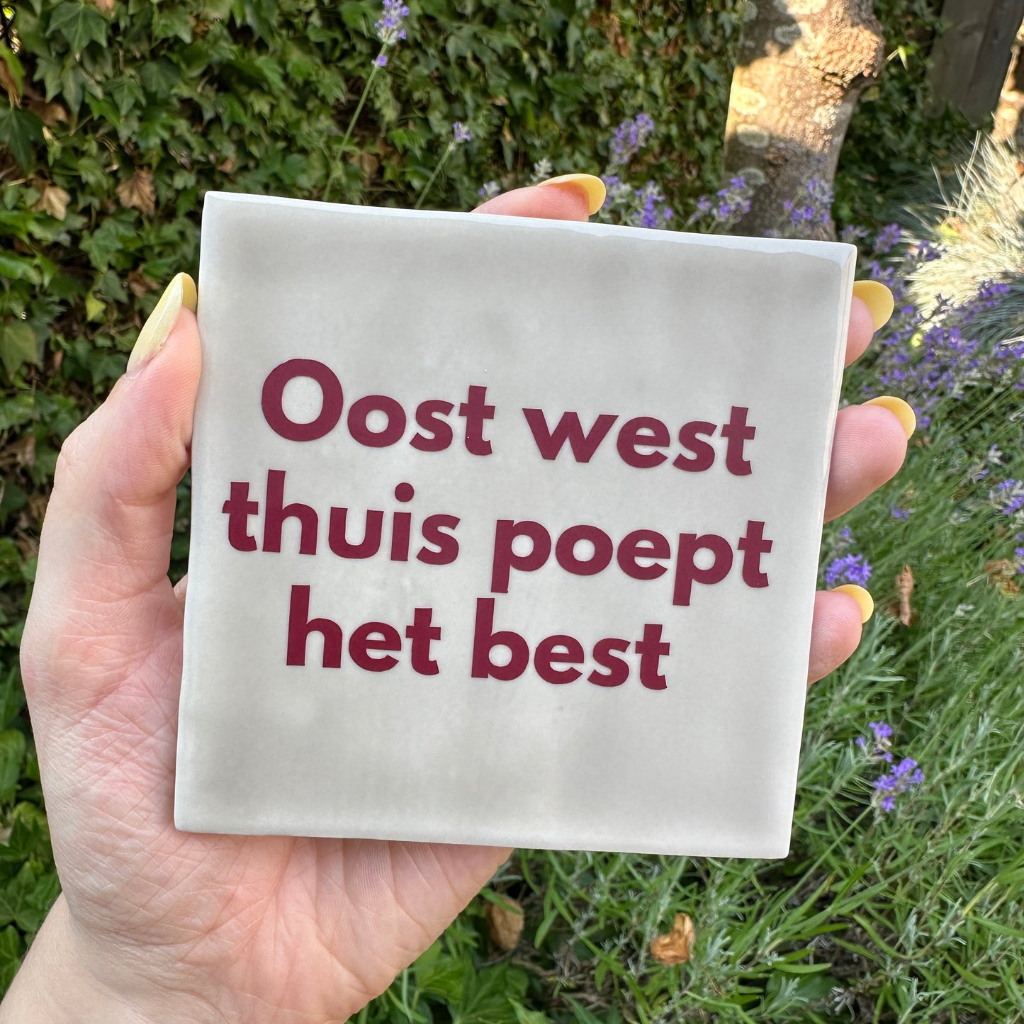 Oost west thuis poept het best