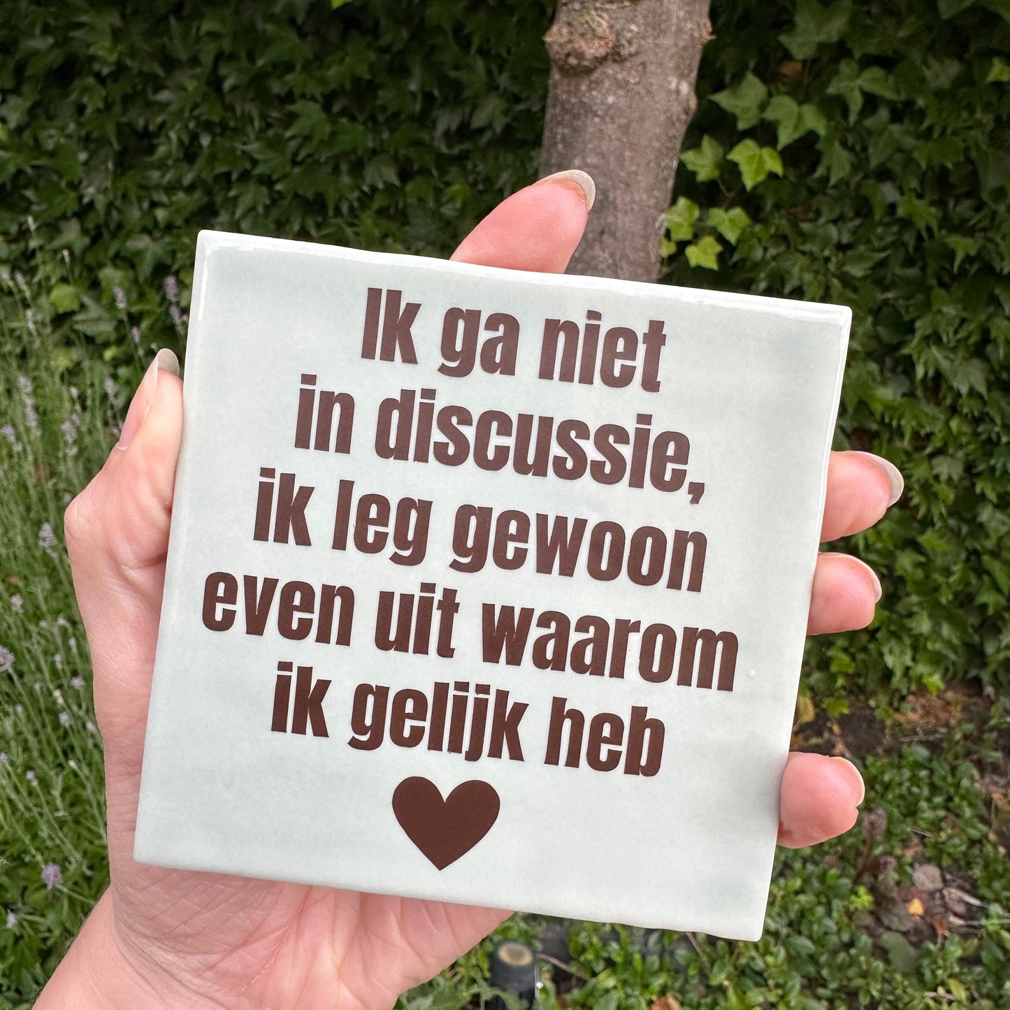 Ik ga niet in discussie, ik leg uit waarom ik gelijk heb - 2+ 1 gratis