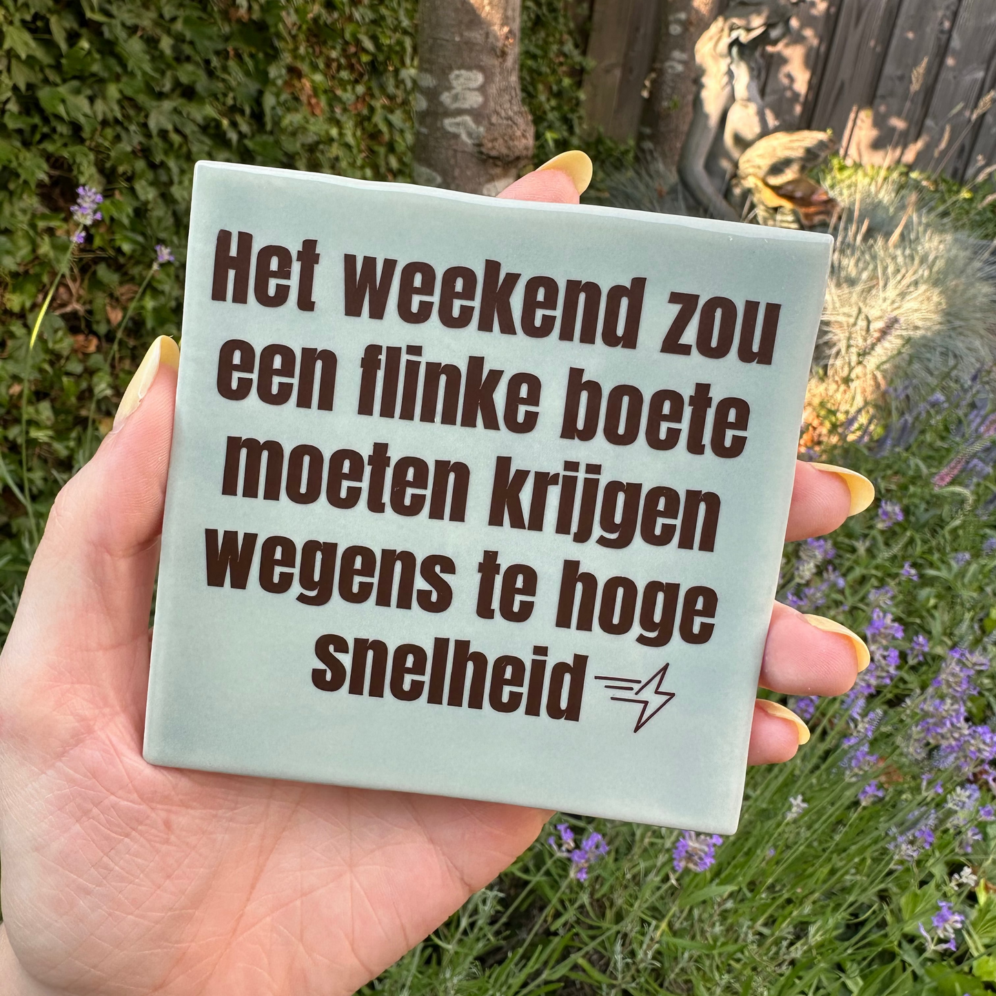 Het weekend zou een flinke boete moeten krijgen wegens te hoge snelheid