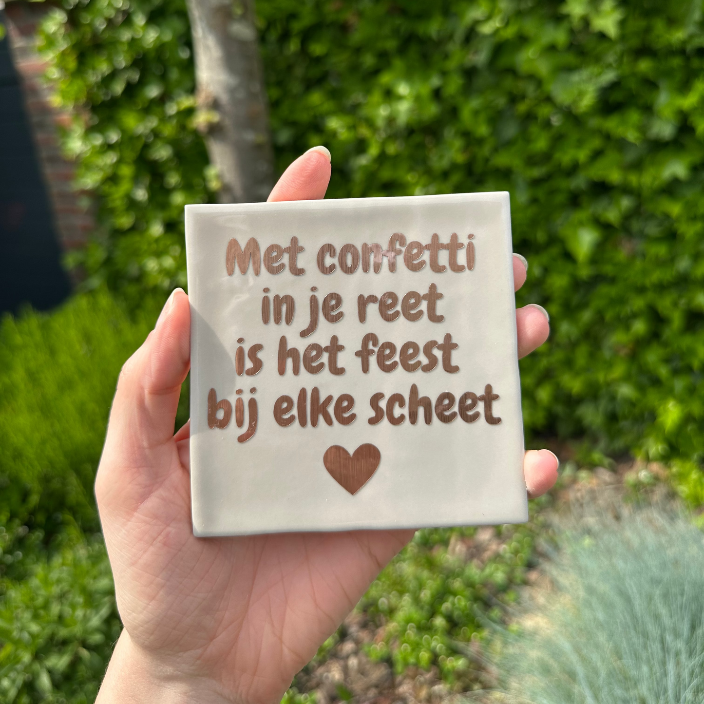 Met confetti in je reet is het feest bij elke scheet - Actie: 2+1 gratis op alle tegeltjes